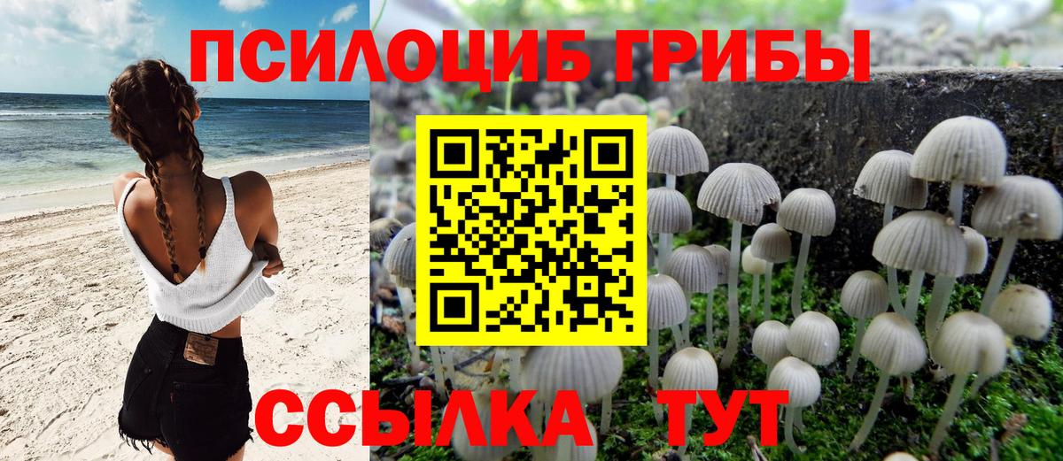 Галлюциногенные грибы Cubensis Касимов