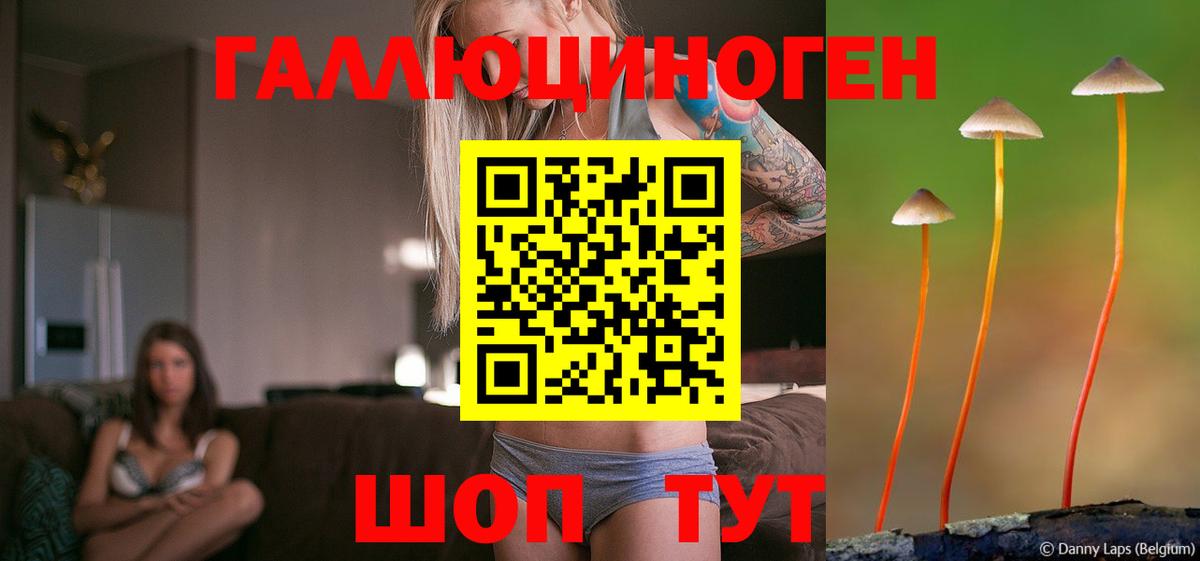Псилоцибиновые грибы Psilocybe  как найти закладки  Вход с VPN  Касимов  Галлюциногенные грибы Psilocybine cubensis 